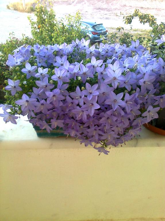 Name:  Fotoraf3009.jpg
Views: 1037
Size:  72.4 KB