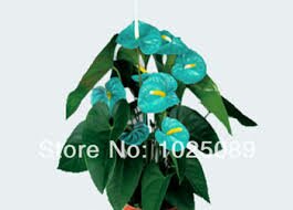 Name:  uploadfromtaptalk1458930687160.jpg
Views: 1118
Size:  9.7 KB
