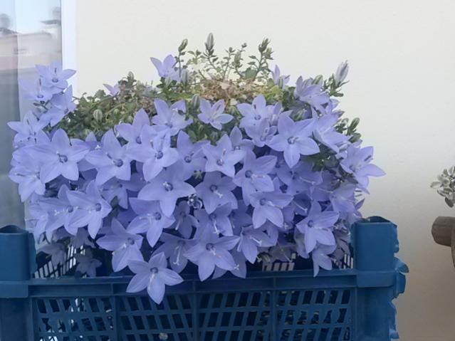 Name:  20160704_152116.jpg
Views: 1937
Size:  40.4 KB