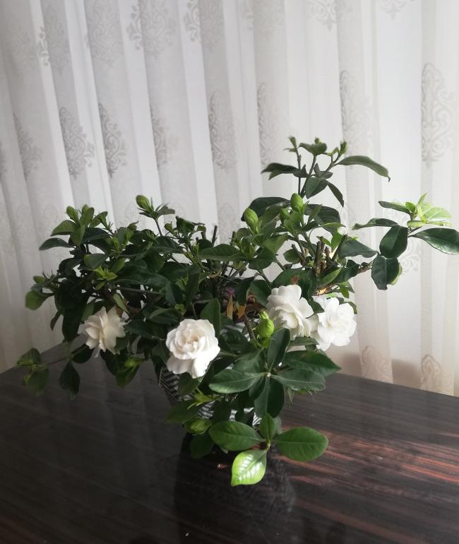 Name:  426201910229.jpg
Views: 837
Size:  56.8 KB