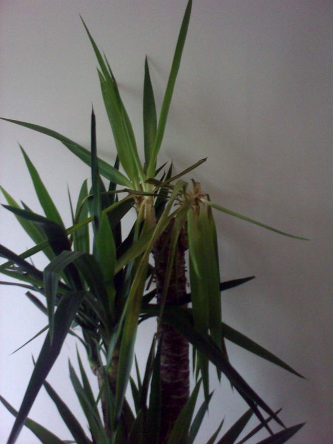 Name:  Foto058.jpg
Views: 5599
Size:  54.8 KB