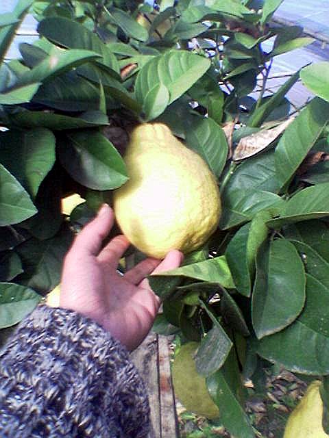 Name:  Image(645).jpg
Views: 6907
Size:  56.6 KB