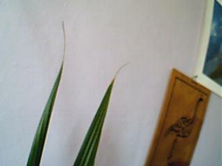 Name:  Resim 048.jpg
Views: 6886
Size:  6.9 KB