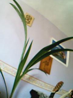 Name:  Resim 050.jpg
Views: 6928
Size:  9.7 KB