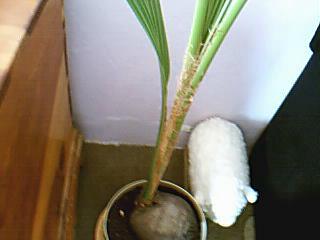 Name:  Resim 052.jpg
Views: 7465
Size:  9.9 KB