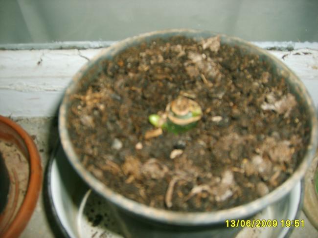 Name:  S5000003.jpg
Views: 3617
Size:  37.2 KB