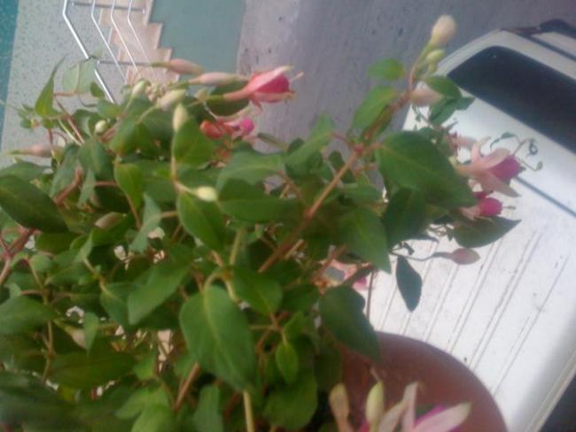 Name:  KPEL 001_672x504.jpg
Views: 1744
Size:  35.8 KB