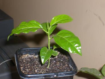 Name:  29.12.2009.JPG
Views: 1131
Size:  49.3 KB