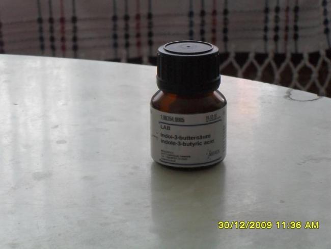 Name:  SDC11376.jpg
Views: 5998
Size:  24.7 KB