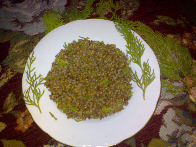 Name:  DSC04490.JPG
Views: 31620
Size:  62.0 KB