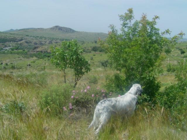 Name:  IMAG0030 [640x480].jpg
Views: 11001
Size:  46.7 KB
