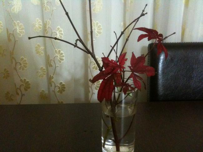 Name:  aa.jpg
Views: 9936
Size:  37.7 KB
