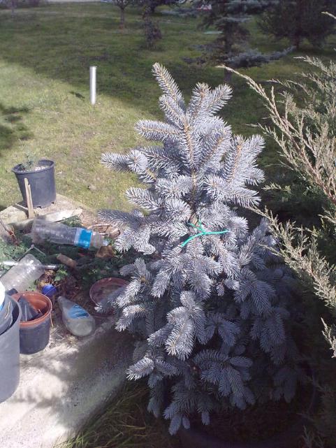 Name:  sahibinden_23012011245.jpg
Views: 2306
Size:  73.2 KB