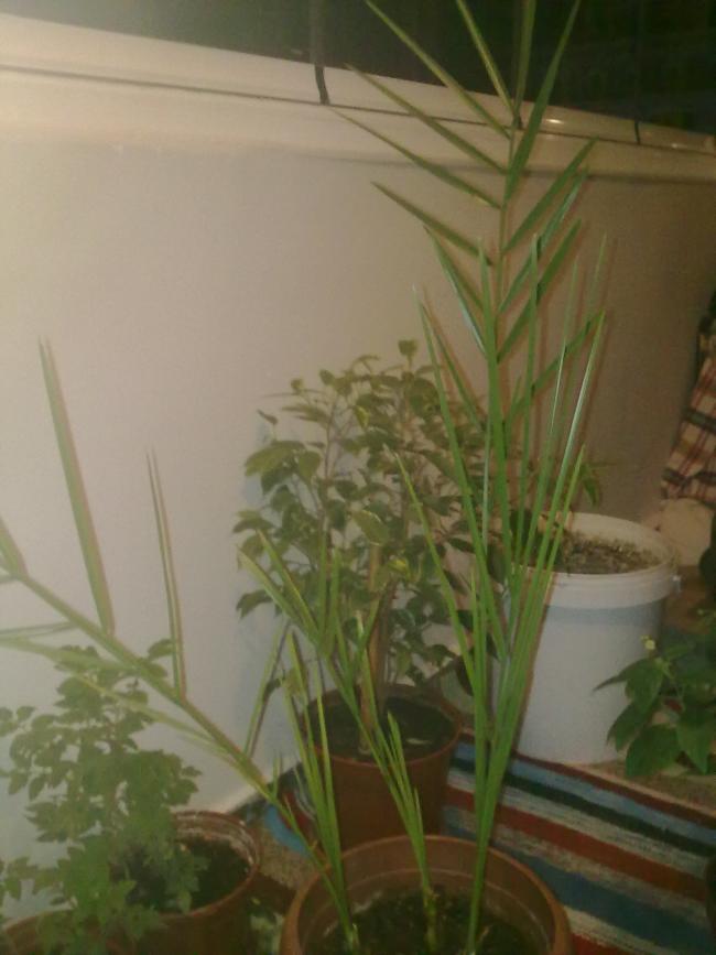Name:  11072012033.jpg
Views: 16789
Size:  48.0 KB