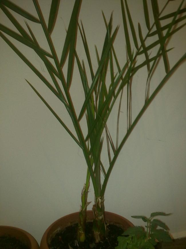 Name:  11072012037.jpg
Views: 27942
Size:  49.0 KB