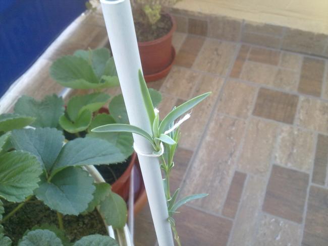 Name:  05092012065.jpg
Views: 5312
Size:  32.8 KB