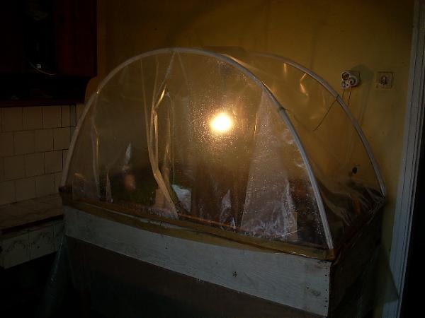 Name:  019.jpg
Views: 68727
Size:  24.4 KB