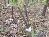 Name:  004.JPG
Views: 46191
Size:  53.3 KB