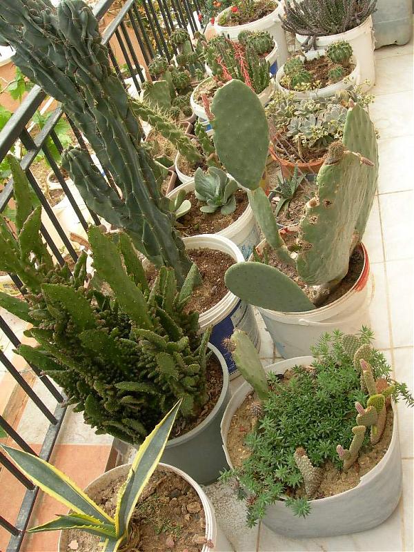 Name:  DSCN6699.jpg
Views: 12490
Size:  133.8 KB