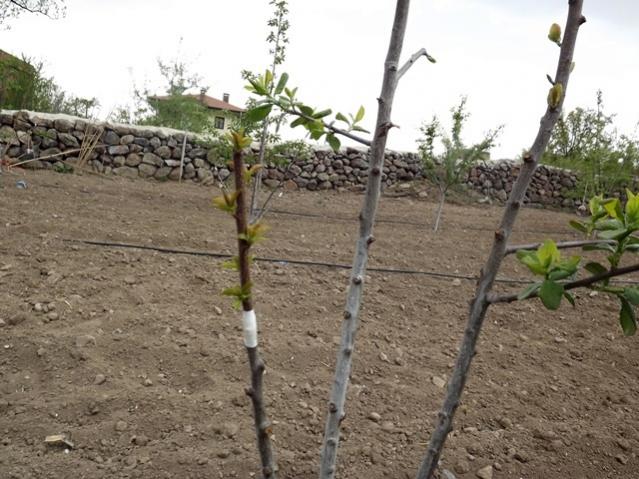 Name:  DSCF0952.jpg
Views: 2939
Size:  59.6 KB