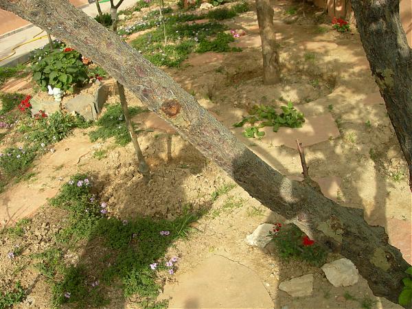 Name:  DSCN6898.jpg
Views: 12502
Size:  77.2 KB