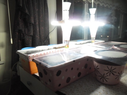 Name:  SAM_0090.JPG
Views: 1582
Size:  54.4 KB