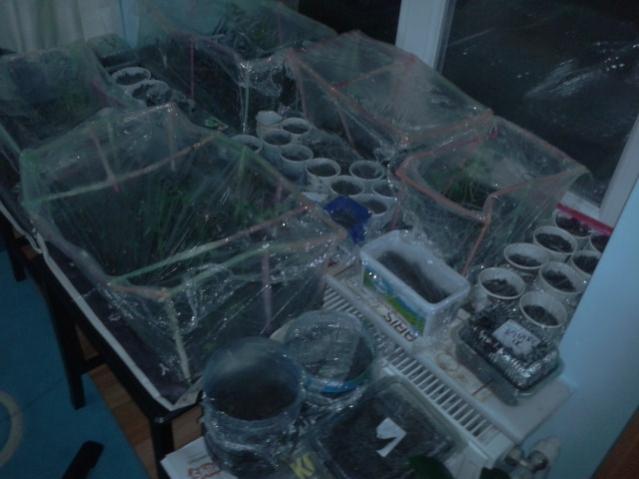 Name:  2013-03-26 03.21.22.jpg
Views: 1136
Size:  34.0 KB