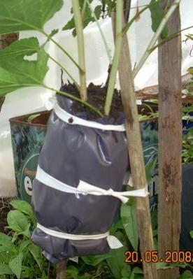 Name:  frenkzm_ Airlayering _aama5.jpg
Views: 1522
Size:  21.8 KB