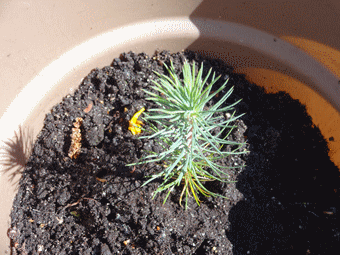 Name:  DSC00298.gif
Views: 1039
Size:  52.2 KB