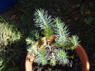 Name:  DSC00300.gif
Views: 987
Size:  67.1 KB