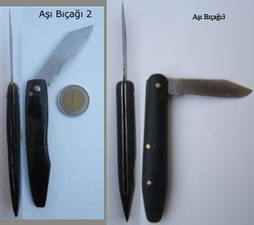 Name:  2 copy.jpg
Views: 15016
Size:  47.1 KB