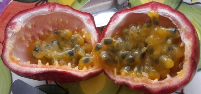 Name:  Market product inside.jpg
Views: 792
Size:  31.3 KB