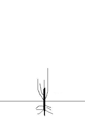 Name:  2.JPG
Views: 14533
Size:  4.8 KB