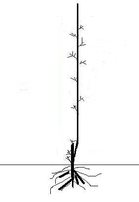 Name:  9.JPG
Views: 14221
Size:  7.8 KB