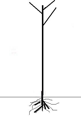 Name:  11.JPG
Views: 14668
Size:  7.3 KB