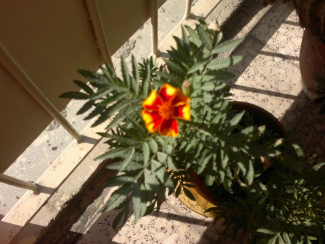 Name:  171020153496.jpg
Views: 1556
Size:  52.9 KB
