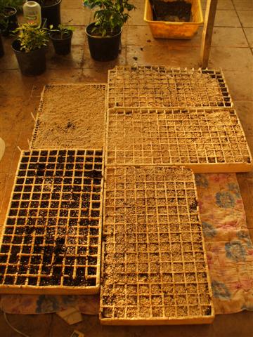 Name:  kapak.JPG
Views: 5010
Size:  58.8 KB