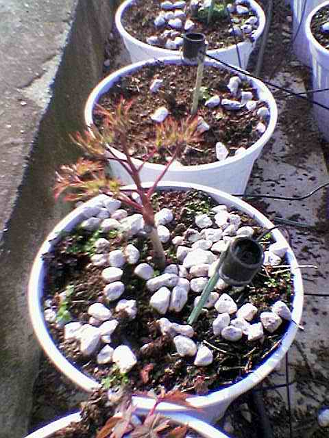 Name:  Image(653).jpg
Views: 3975
Size:  48.5 KB