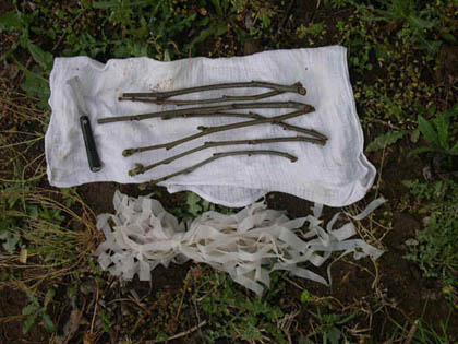 Name:  AI BIAI KALEMLER VE BALAR 1.JPG
Views: 22098
Size:  57.6 KB