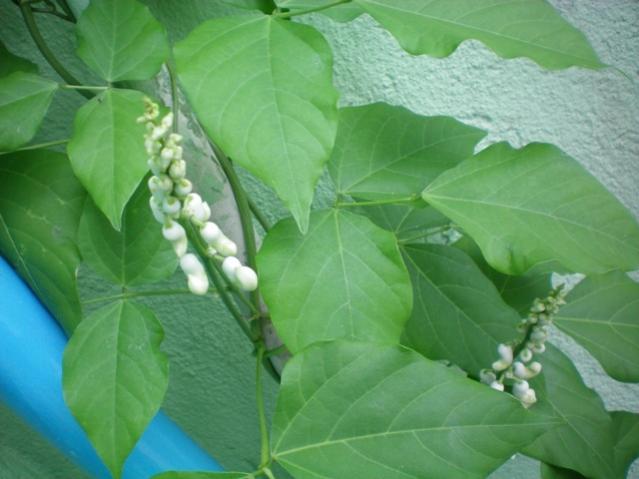 Name:  000_0001.jpg
Views: 2143
Size:  36.5 KB