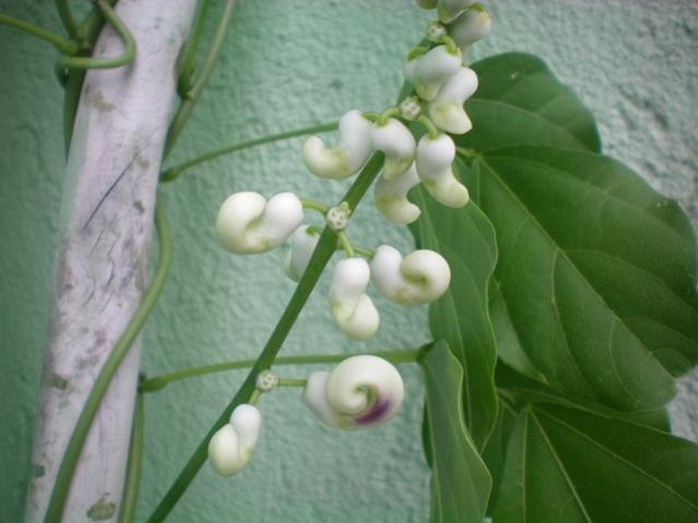 Name:  000_0003.jpg
Views: 1607
Size:  33.8 KB