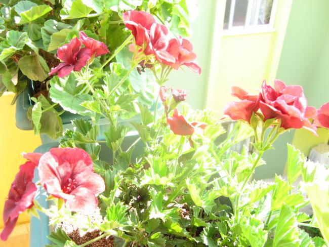 Name:  rnek1.jpg
Views: 2744
Size:  61.7 KB