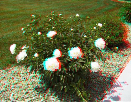 Name:  gl.jpg
Views: 5601
Size:  51.7 KB