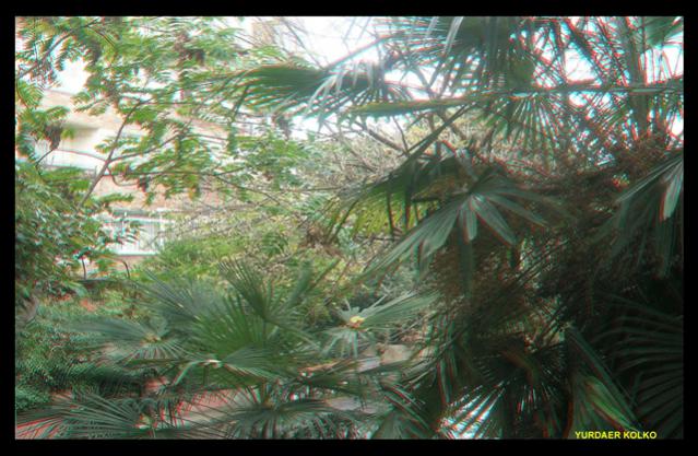 Name:  evimden.jpg
Views: 5277
Size:  58.3 KB