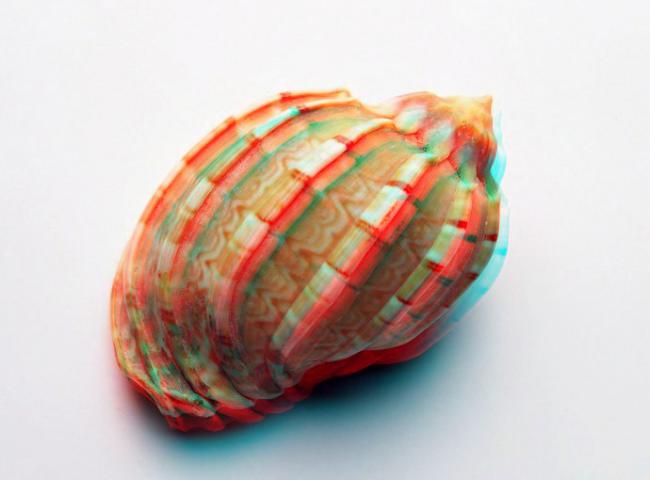 Name:  kabuk.jpg
Views: 4873
Size:  25.4 KB