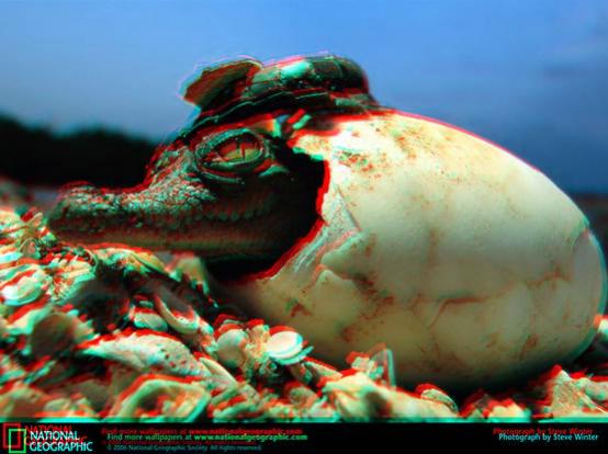 Name:  Timsah.jpg
Views: 4710
Size:  35.9 KB