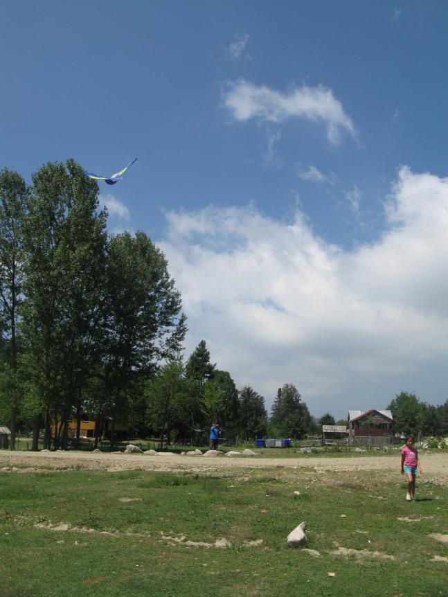 Name:  IMG_5921.jpg
Views: 2288
Size:  69.4 KB