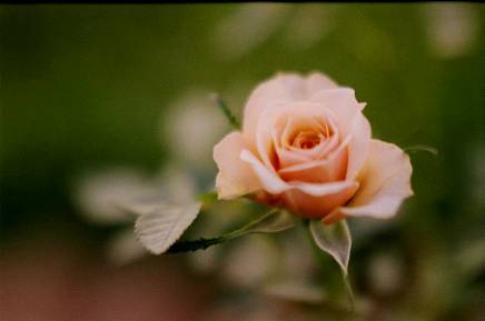 Name:  Resim 20.jpg
Views: 3102
Size:  10.6 KB