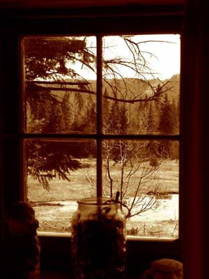 Name:  WindowFr.jpg
Views: 2408
Size:  18.1 KB