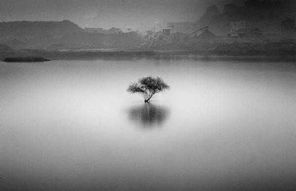 Name:  10.jpg
Views: 370
Size:  18.3 KB